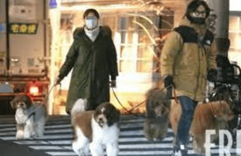 愛犬の散歩をする稲葉浩志と妻